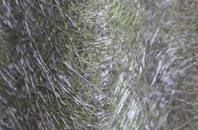 Penwithick fibreglass roof work